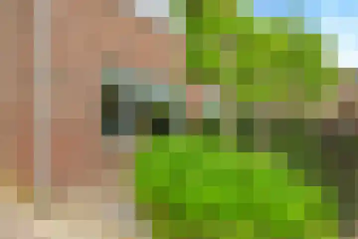 't Boogstuk 27 Andelst thumbnail 67