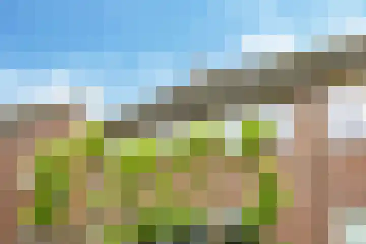 't Boogstuk 27 Andelst thumbnail 68