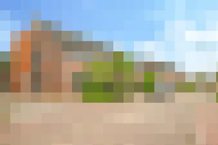 't Boogstuk 27 Andelst thumbnail 71