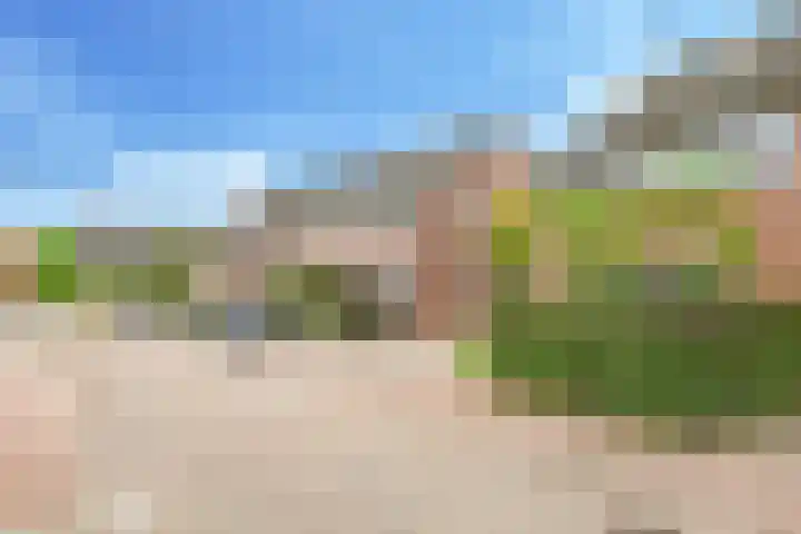 't Boogstuk 27 Andelst thumbnail 72