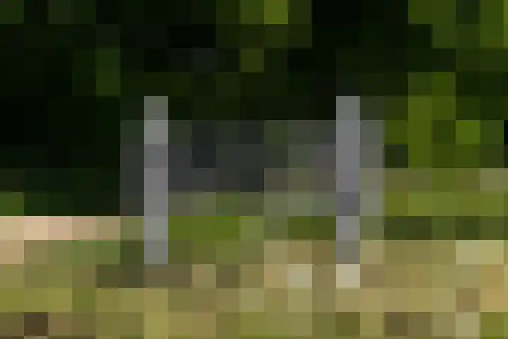 't Boogstuk 27 Andelst thumbnail 76