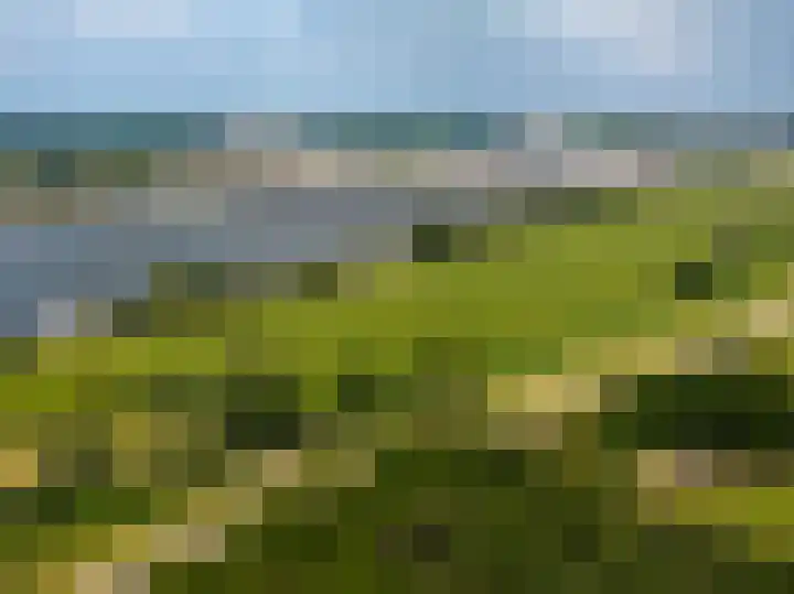 't Boogstuk 27 Andelst thumbnail 79