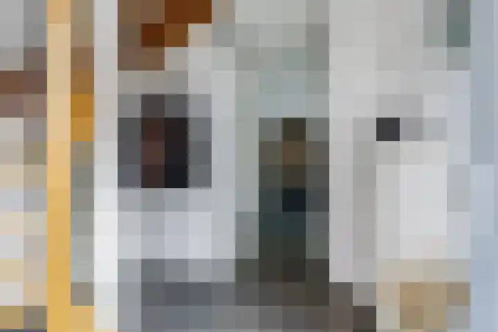 't Boogstuk 27 Andelst thumbnail 9