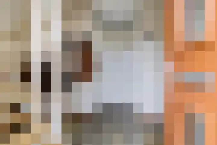 't Boogstuk 3 Andelst thumbnail 11