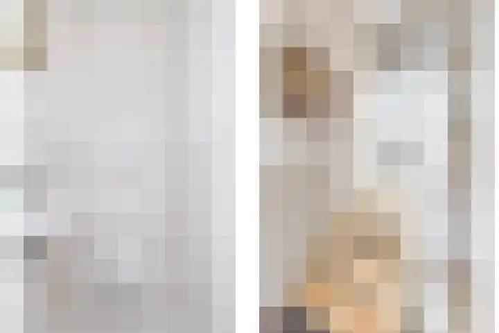 't Boogstuk 3 Andelst thumbnail 12