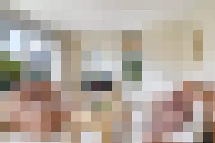 't Boogstuk 3 Andelst thumbnail 16