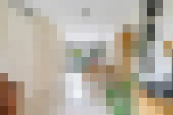 't Boogstuk 3 Andelst thumbnail 19