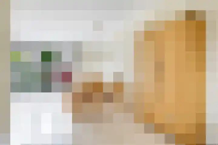't Boogstuk 3 Andelst thumbnail 20