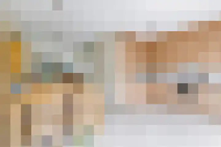 't Boogstuk 3 Andelst thumbnail 30