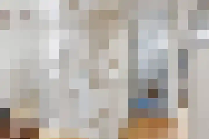 't Boogstuk 3 Andelst thumbnail 35