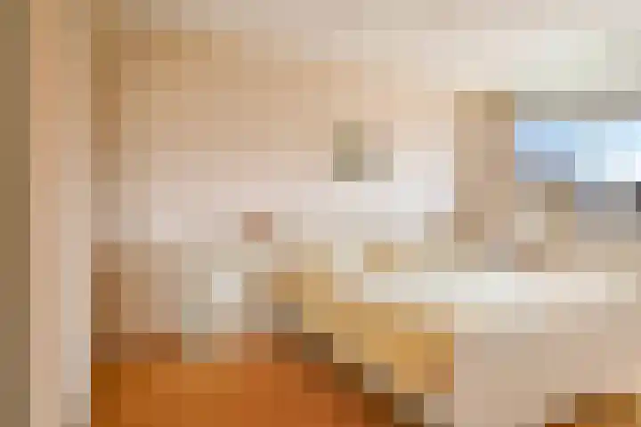 't Boogstuk 3 Andelst thumbnail 36