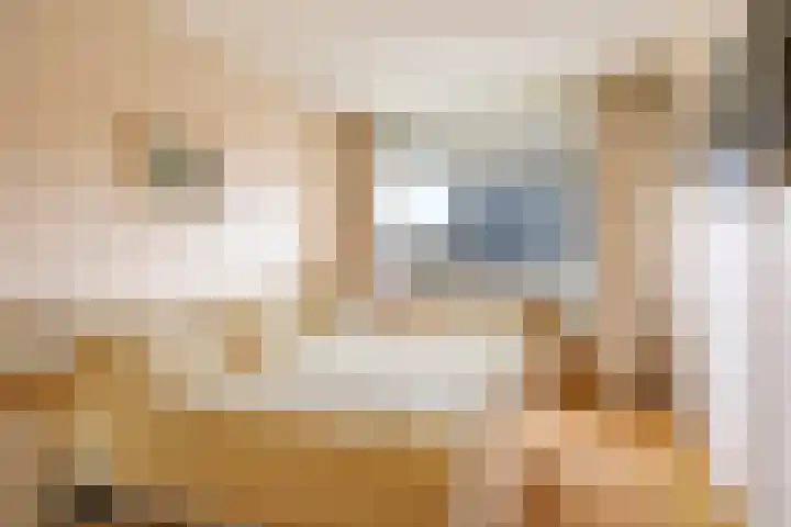 't Boogstuk 3 Andelst thumbnail 37