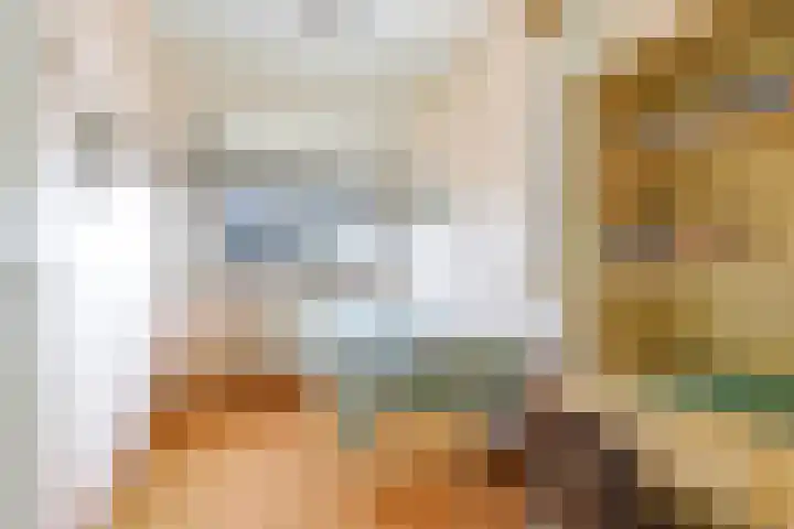 't Boogstuk 3 Andelst thumbnail 38