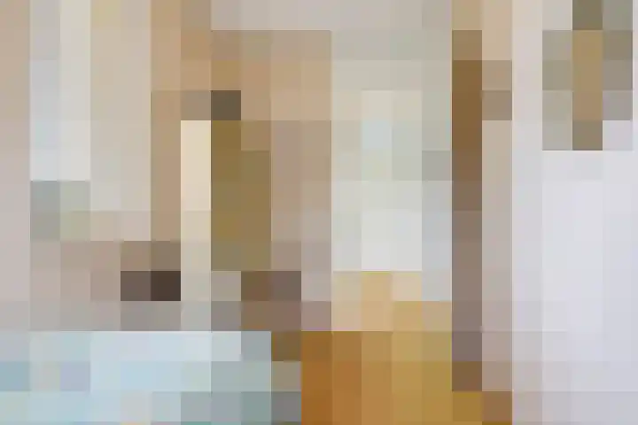 't Boogstuk 3 Andelst thumbnail 39