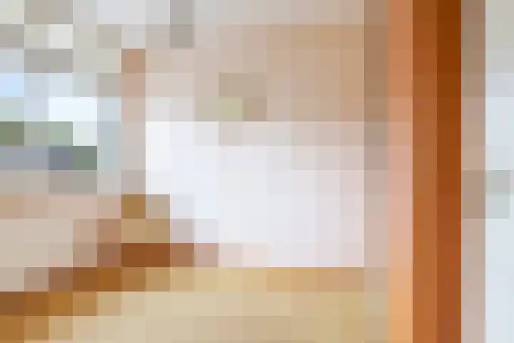 't Boogstuk 3 Andelst thumbnail 40