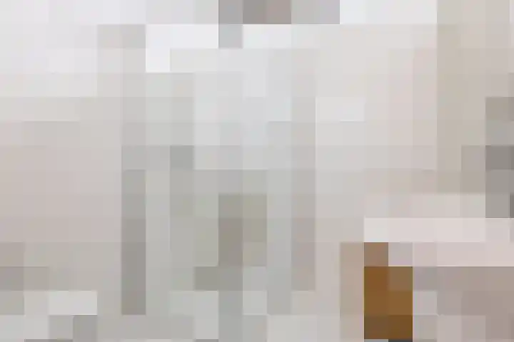 't Boogstuk 3 Andelst thumbnail 42