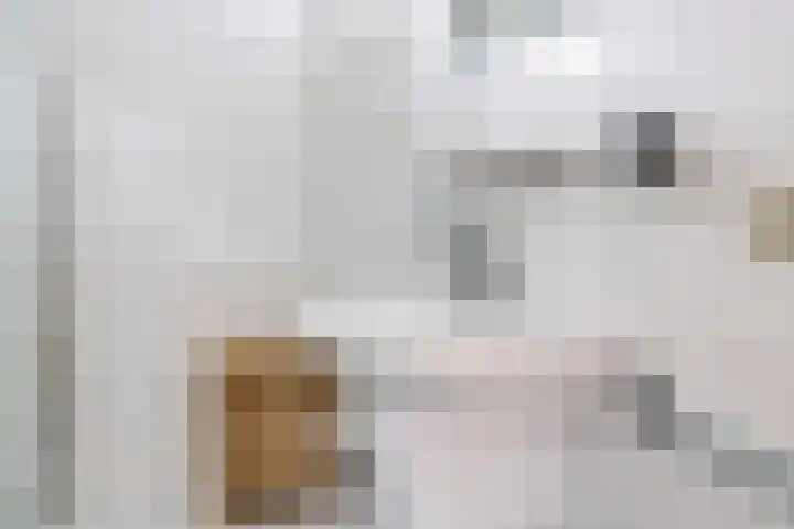 't Boogstuk 3 Andelst thumbnail 43