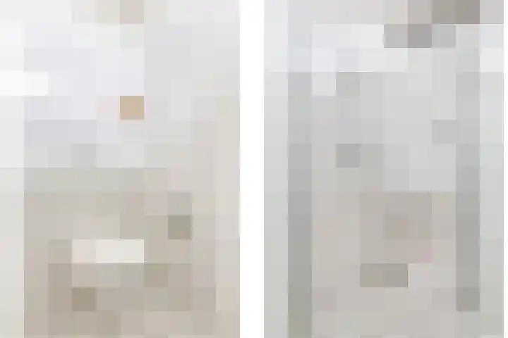 't Boogstuk 3 Andelst thumbnail 44