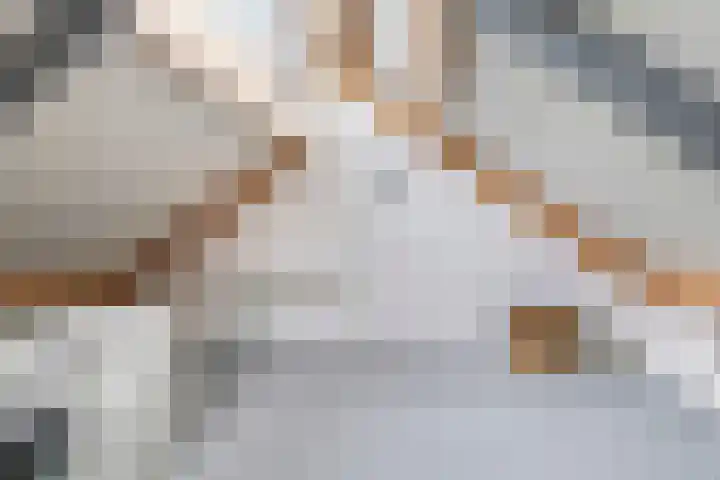 't Boogstuk 3 Andelst thumbnail 47