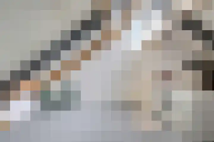 't Boogstuk 3 Andelst thumbnail 48