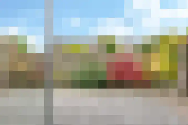 't Boogstuk 3 Andelst thumbnail 51