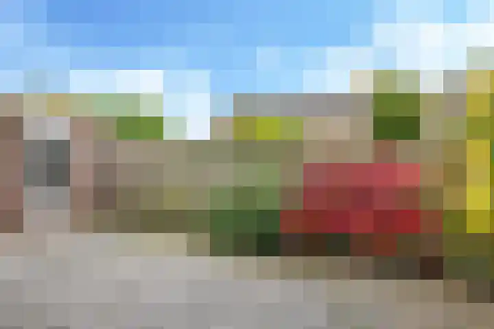 't Boogstuk 3 Andelst thumbnail 53