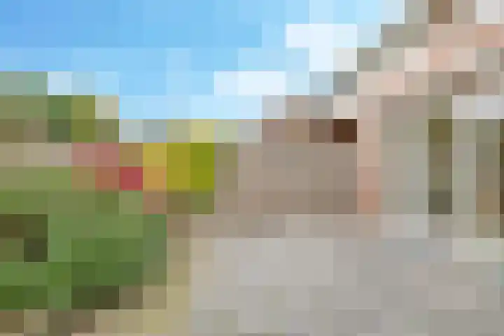't Boogstuk 3 Andelst thumbnail 58