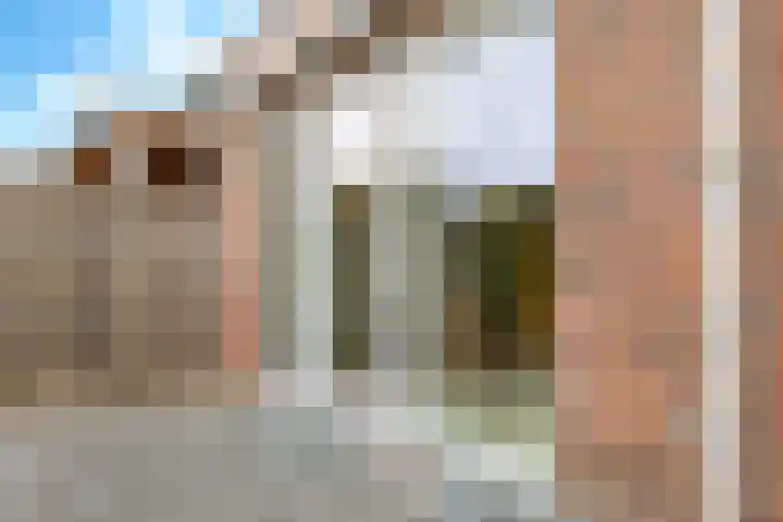 't Boogstuk 3 Andelst thumbnail 59