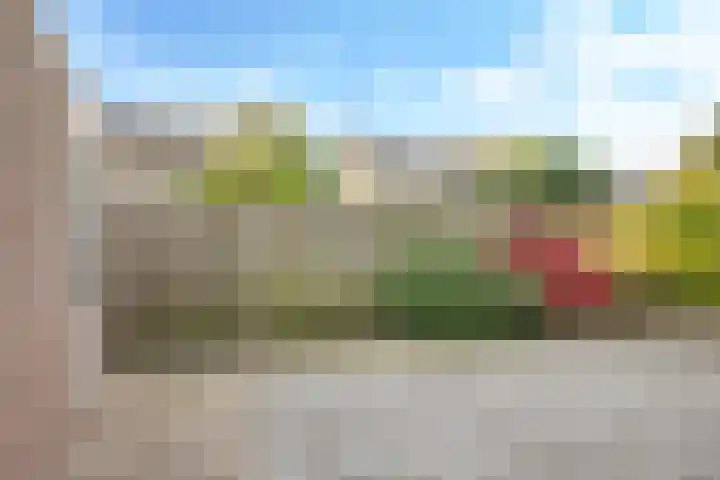 't Boogstuk 3 Andelst thumbnail 6