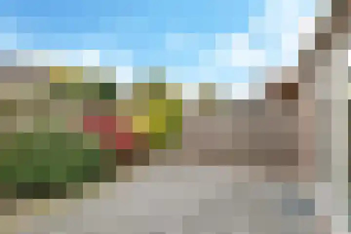 't Boogstuk 3 Andelst thumbnail 61