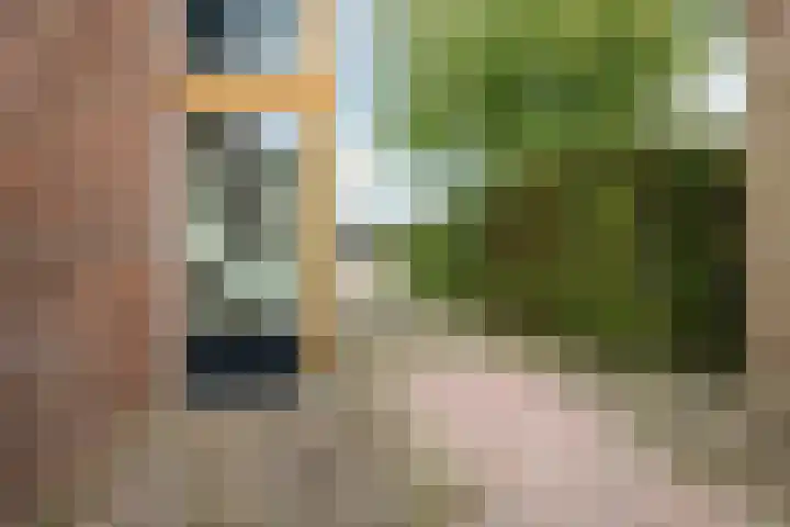 't Boogstuk 3 Andelst thumbnail 62
