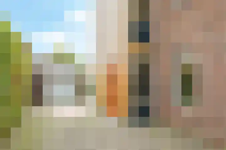 't Boogstuk 3 Andelst thumbnail 64