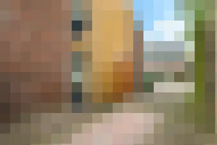 't Boogstuk 3 Andelst thumbnail 65