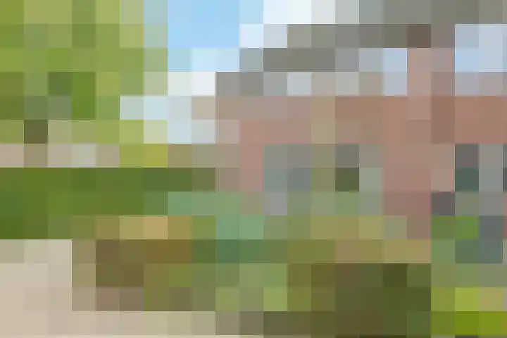 't Boogstuk 3 Andelst thumbnail 68