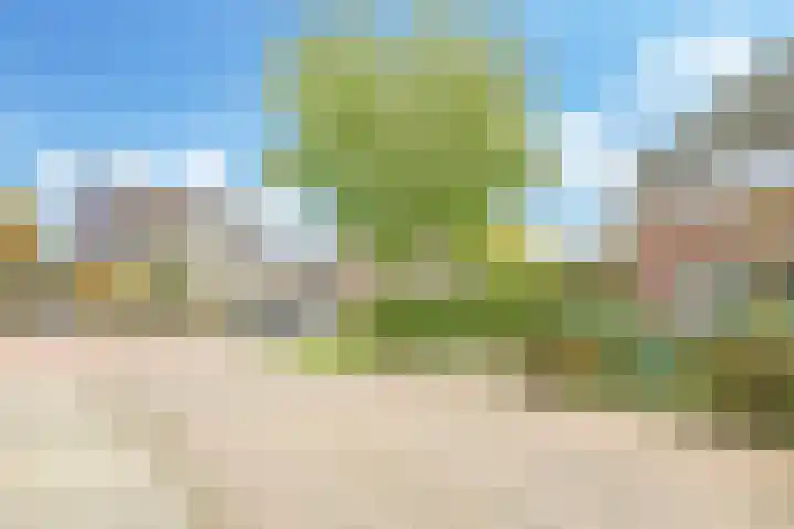't Boogstuk 3 Andelst thumbnail 69