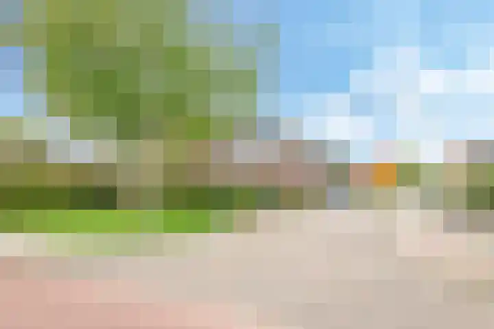 't Boogstuk 3 Andelst thumbnail 71