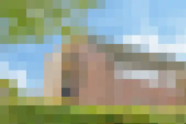 't Boogstuk 3 Andelst thumbnail 72