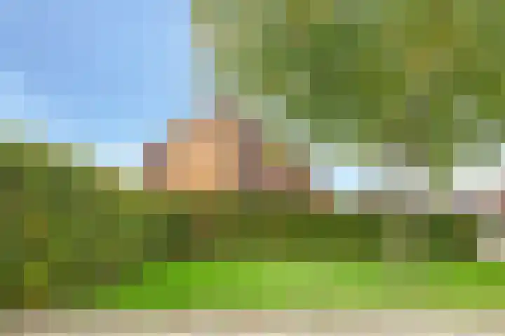 't Boogstuk 3 Andelst thumbnail 73