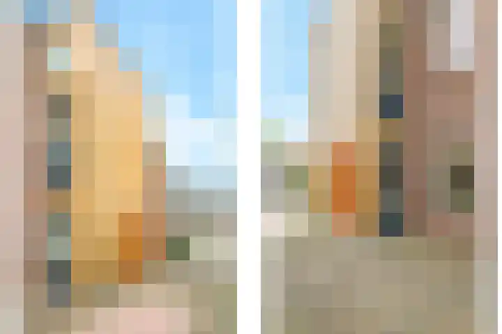 't Boogstuk 3 Andelst thumbnail 8