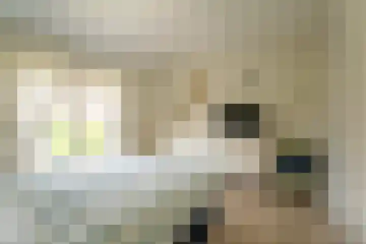 't Boonrak 22 Valkenburg thumbnail 14
