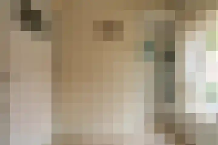 't Boonrak 22 Valkenburg thumbnail 17