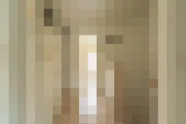 't Boonrak 22 Valkenburg thumbnail 22