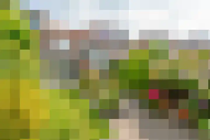 't Boonrak 22 Valkenburg thumbnail 26