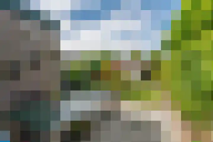 't Boonrak 22 Valkenburg thumbnail 27