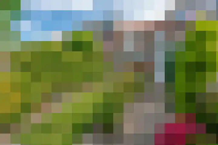 't Boonrak 22 Valkenburg thumbnail 28