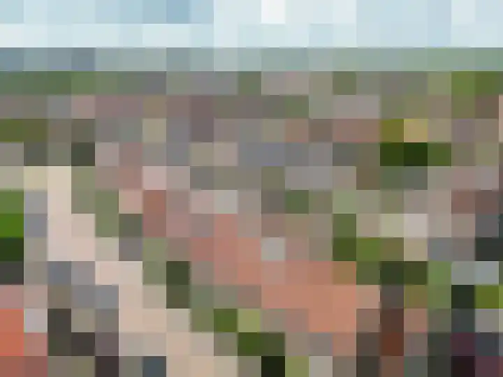 't Boonrak 22 Valkenburg thumbnail 29