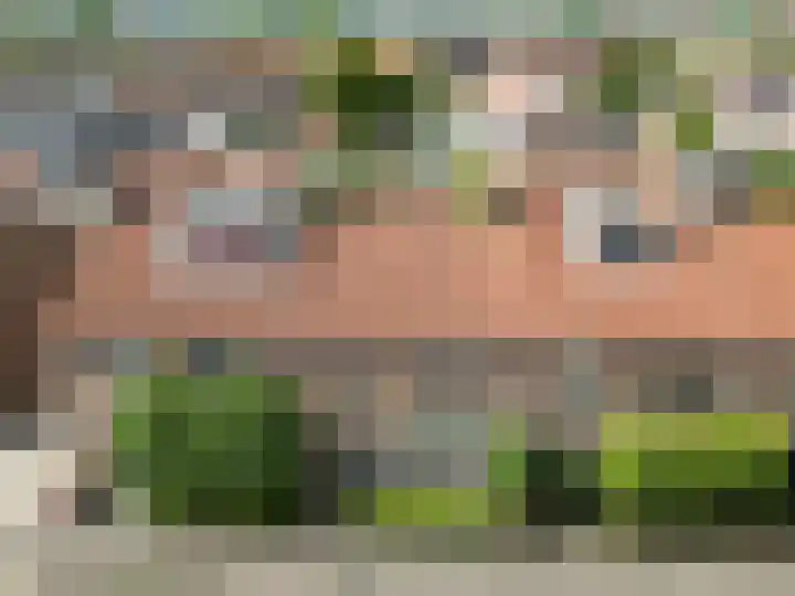 't Boonrak 22 Valkenburg thumbnail 31