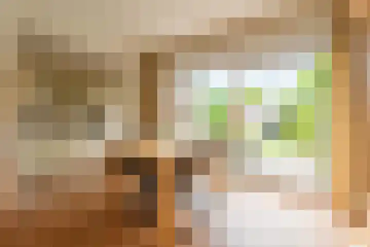 't Boonrak 22 Valkenburg thumbnail 5