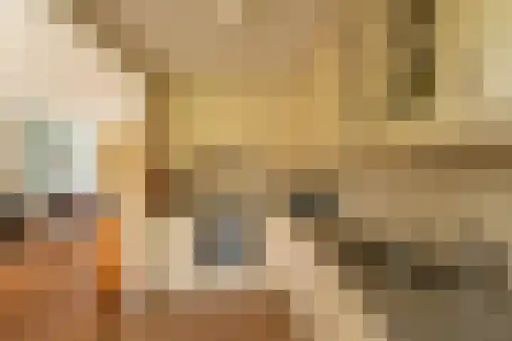 't Boonrak 22 Valkenburg thumbnail 8