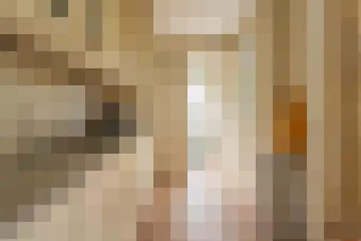 't Boonrak 22 Valkenburg thumbnail 9
